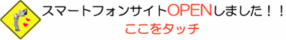 �E�F�u �A�j���[�^�[
